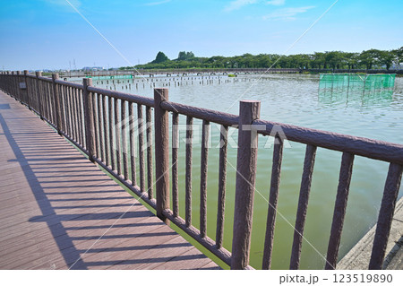 初夏 遊歩道 水量たっぷりの伊佐沼 7月湖畔の風景 初夏 遊歩道 水量たっぷりの伊佐沼 7月湖畔の風景 123519890