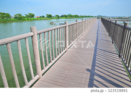 初夏　遊歩道　水量たっぷりの伊佐沼　7月湖畔の風景　　 123519891