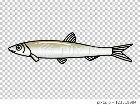 Simple cute smelt illustration Simple cute smelt illustration 123519984