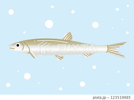 水中のシンプルなかわいいワカサギのイラスト 123519985