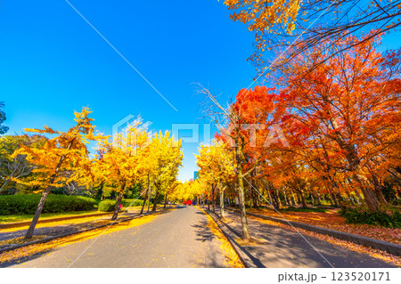 錦秋の大阪城公園 123520171