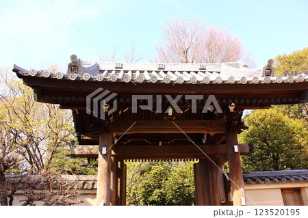 晴れた日の妙正寺三門 123520195