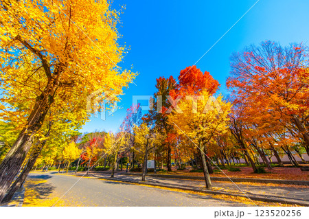 錦秋の大阪城公園 123520256