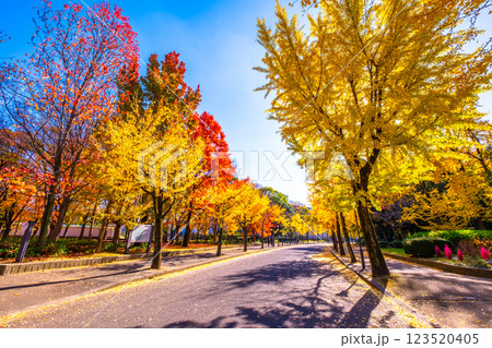 錦秋の大阪城公園 123520405