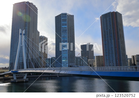 東雲のタワーマンションと辰巳桜橋（東京都江東区） 123520752