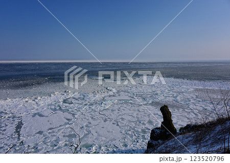 能取岬からの流氷 能取岬からの流氷 123520796
