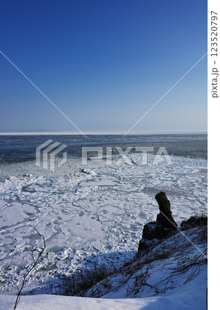 能取岬からの流氷 能取岬からの流氷 123520797