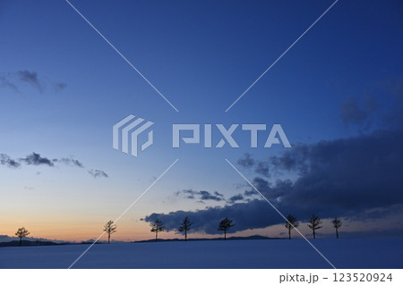 冬のメルヘンの丘 123520924