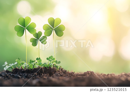 three vibrant green clovers sprout from rich soil, bathed in warm sunlight. 123521015