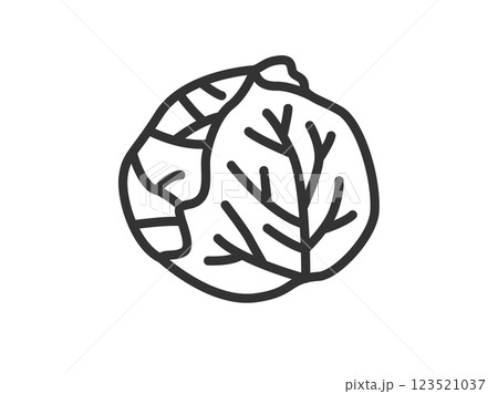 キャベツのアイコン（線画）のイラスト 123521037