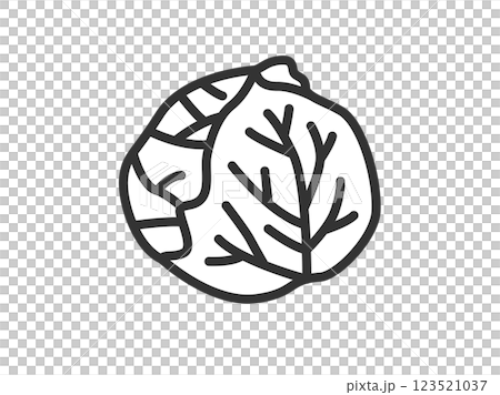 キャベツのアイコン（線画）のイラスト 123521037