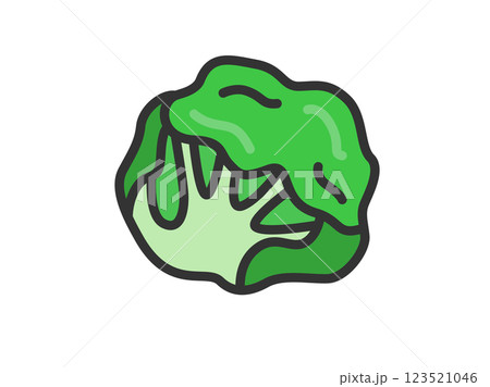 レタスのアイコン（線画カラー）のイラスト 123521046
