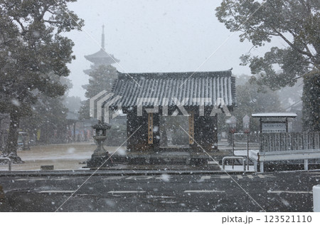 雪にかすむ四国霊場第70番札所「本山寺」仁王門から五重塔を見る 雪にかすむ四国霊場第70番札所「本山寺」仁王門から五重塔を見る 123521110