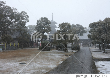 雪にかすむ四国霊場第70番札所「本山寺」本堂、五重塔、十王堂を見る 123521135