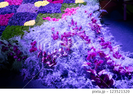 flower arrangement of purple orchids for a lantern. High quality photo flower arrangement of purple orchids for a lantern. High quality photo 123521320