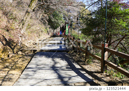 唐沢山城址の参道 123521444