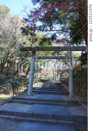 唐沢山神社鳥居(縦) 唐沢山神社鳥居(縦) 123521479