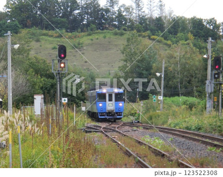 石北本線を駆け抜ける特急列車（特急オホーツク・キハ183系・石北本線）《北海道》 123522308