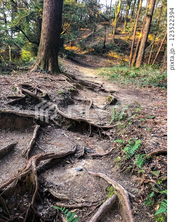 【学問の神様】太宰府天満宮【福岡観光】 【学問の神様】太宰府天満宮【福岡観光】 123522394