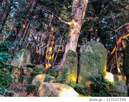 【学問の神様】太宰府天満宮【福岡観光】 【学問の神様】太宰府天満宮【福岡観光】 123522399