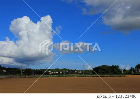 夏の青空と白い雲 123522486