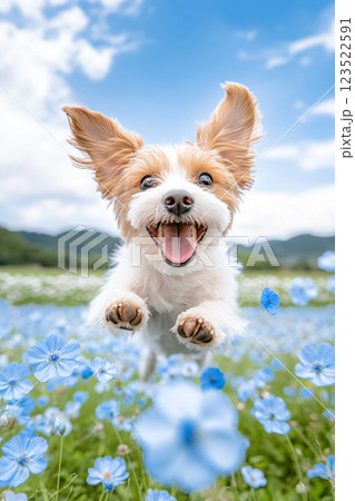 ネモフィラ畑を元気に飛び跳ねる犬の笑顔 123522591