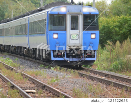 石北本線を駆け抜ける特急列車(キハ183系・特急オホーツク)《北海道》 石北本線を駆け抜ける特急列車(キハ183系・特急オホーツク)《北海道》 123522628