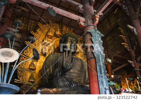 【奈良公園観光】東大寺・大仏・興福寺・シカ・南大門・春日大社・浮見堂【平城京のパワースポット】 123522742