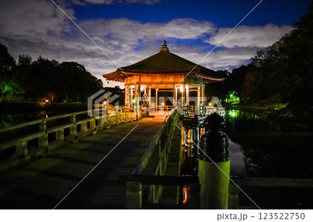 【奈良公園観光】東大寺・大仏・興福寺・シカ・南大門・春日大社・浮見堂【平城京のパワースポット】 123522750