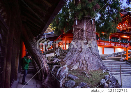 【奈良公園観光】東大寺・大仏・興福寺・シカ・南大門・春日大社・浮見堂【平城京のパワースポット】 123522751