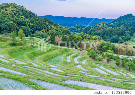 【千葉県】田植の済んだ、新緑の大山千枚田 【千葉県】田植の済んだ、新緑の大山千枚田 123522990