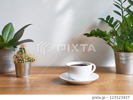 ブラックコーヒーと観葉植物 ブラックコーヒーと観葉植物 123523937