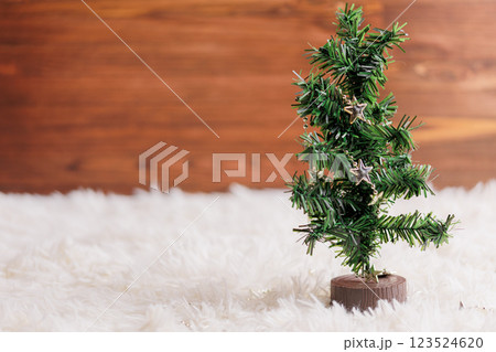 クリスマスツリー 123524620