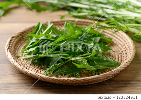 Mizuna, Water green, Japanese mustard green or spider mustard in basket on wooden background Mizuna, Water green, Japanese mustard green or spider mustard in basket on wooden background 123524911