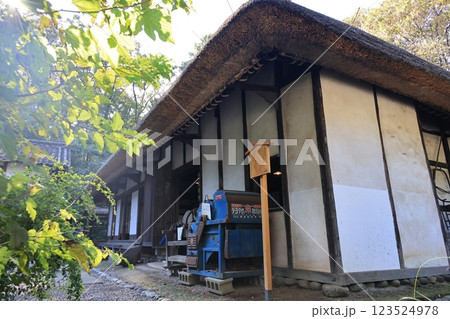 板橋区立郷土資料館の風景 123524978