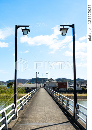 兵庫県たつの市の揖保川にかかる龍野旭橋から見た風景 123525025