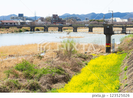 兵庫県たつの市の揖保川にかかる龍野旭橋から見た龍野橋の風景 123525026