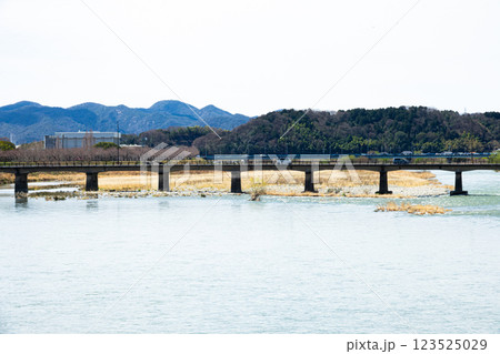 兵庫県たつの市の揖保川にかかる龍野旭橋から見た龍野橋の風景 123525029