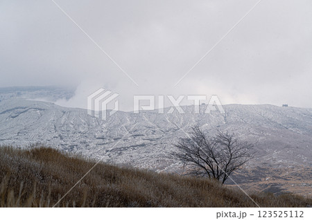 霧氷した草原と阿蘇山 冬の阿蘇の風景 霧氷した草原と阿蘇山 冬の阿蘇の風景 123525112