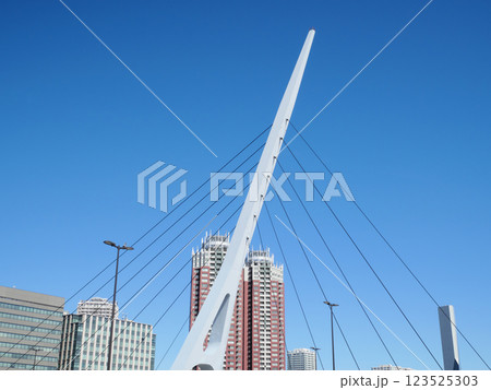 テレポートブリッジと高層ビル群|青海 テレポートブリッジと高層ビル群|青海 123525303