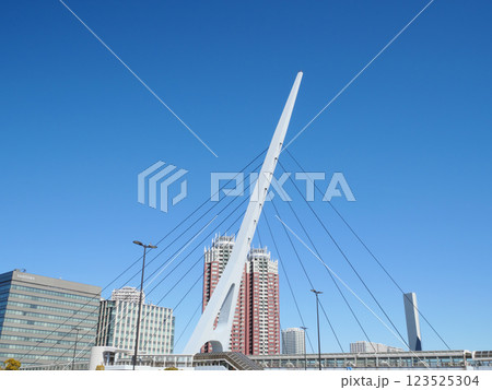 テレポートブリッジと高層ビル群|青海 テレポートブリッジと高層ビル群|青海 123525304