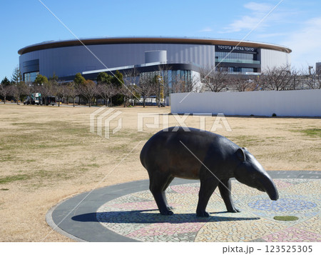 夢の広場から見るバグのオブジェとアリーナ会場｜青海 123525305