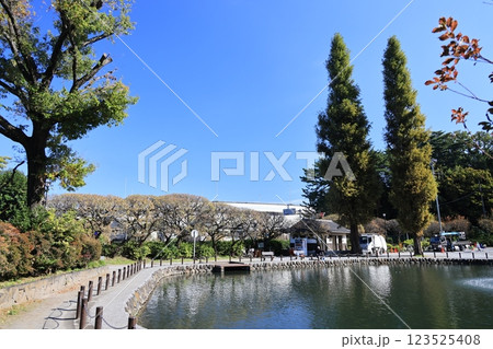 板橋区赤塚の赤塚溜池公園の風景 板橋区赤塚の赤塚溜池公園の風景 123525408