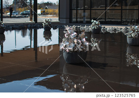水面に映る花 水面に映る花 123525765