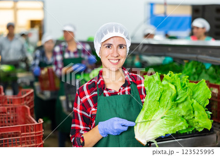 Portrait of positive woman vegetable factory worker with lettuce 123525995