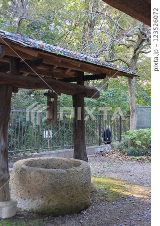 板橋区立郷土資料館の風景 板橋区立郷土資料館の風景 123526072