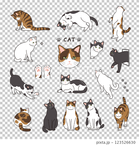 線のある猫のイラストセット 線のある猫のイラストセット 123526630