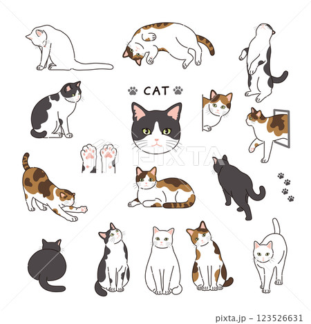 線のある猫のイラストセット 123526631