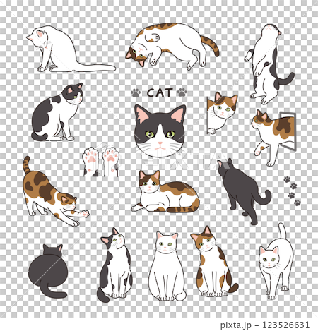 線のある猫のイラストセット 123526631
