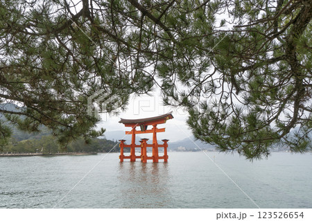 安芸の宮島　鳥居 123526654